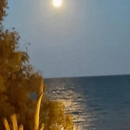 With Terrace On The Locos * Torrevieja